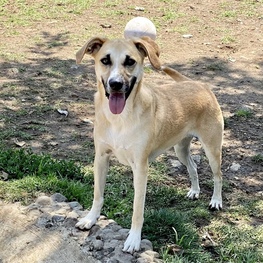 D 7619bfe6 0ec2 4524 a2f6 4c3a9e382dc9