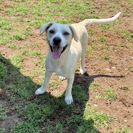 D 7034cd89 e99f 4525 94db e88cfc647b3f