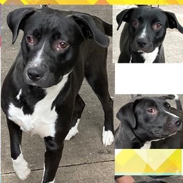 D 835e8b57 60d0 47e7 91d7 aac023b83a4f