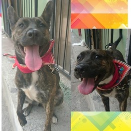 D e6b83a6b 8e0a 4320 a63e a48b79cc9568