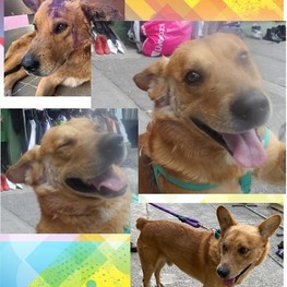 D 617c8d40 a1fd 4614 aa5d deb6d1a39968