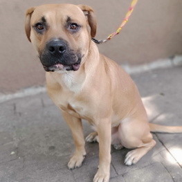 D d3063b89 47b4 43cf a45d d2f9eb8e884f