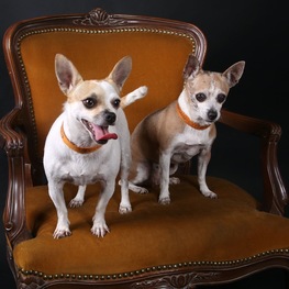 D e924f0f5 639c 4479 986e 2c171ac976eb