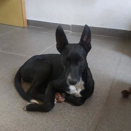 D 258bffb8 a47e 4ca6 b363 ac9ee05124ad