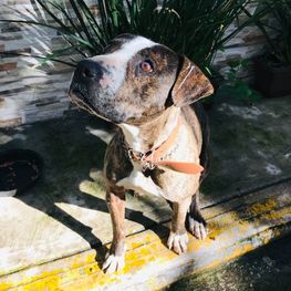 D 639dbaa8 384b 490c a521 f6ecbaca9b2f