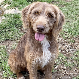 D 87b490d4 d187 4eb2 a08d 26c20097e99d