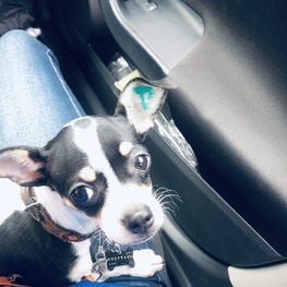 D e4d84a37 b038 4016 be52 37c329320abc