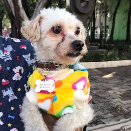 D 3e318819 c0f5 44d0 86d9 ba440ff99f5f