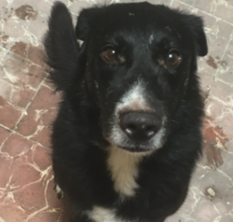 D dd71140b 10df 4223 8e98 0e6de2ec20c1