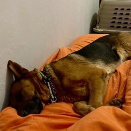 D ad3a07d2 63d9 4e17 b341 2af940a752d0