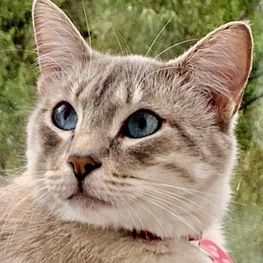 D 4cb5ab3d 2da2 4f3e a33e b46c6a31cd7f