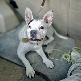 D c92a49b8 1963 4e4f bf64 5293b61bf537