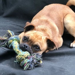 D 53d8467d 50d3 44b6 bc52 48a67aafca92