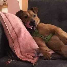 D e645e37b 8174 40ca 9a2b 4a2a18290b5d