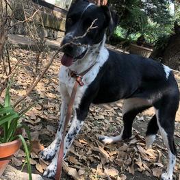 D e7ad48b4 2a7e 40f4 94af 97b2897b8947