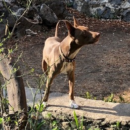 D 7d60a3a3 0d78 449a 84ab 2c69622680d0