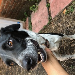 D 2e5b2a6a 2188 4a20 bf7b 17e2abb8ccf3