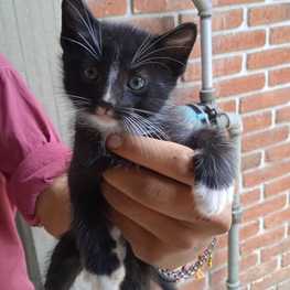 D f9b42a04 78f6 4d12 8347 28b7f4e740ea