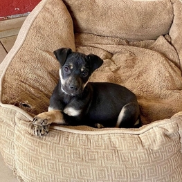 D 8c872ca8 8593 4d42 8552 2e5da24ecfe3