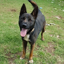 D 9fa1d690 51b0 4196 b817 e0bdb5d49dfa