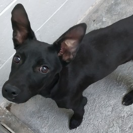 D 1bb07770 c6fe 4626 a6b3 164da3e29de6