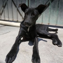 D 3d663666 92ef 462e bf24 8fb2d7c0eee7