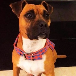 D 4da67262 154a 480b 87bb bbb5940aeaba