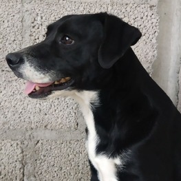 D 0c20548a 1a36 4436 967d 3edaac57aee0