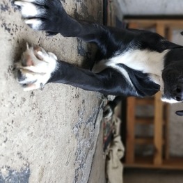 D 896c4a14 f401 4a58 ba3f df422f60c761