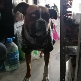 D c5334a1f d5b2 4944 9c76 435af0dfaa3b