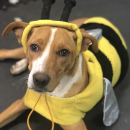 D e7ec1892 0c4f 4a0a 9e3b 5fec42dcad95