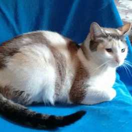 D d909c350 e072 41b8 9ff6 b85b05161b4a