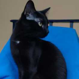 D 6d17188c 41f7 4a56 82bc 6c94e070682a