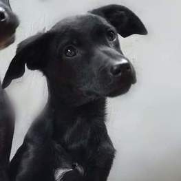 D ca0f0d98 f50d 41fe 8714 96c13efaed55