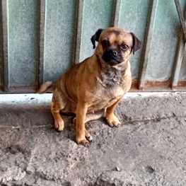 D 63d15163 7508 4c6e 838a d01a6a4149f1