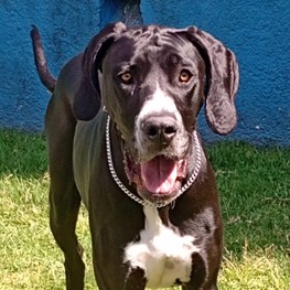 D b9fc30a1 7788 48d7 a3a1 5201d0630743