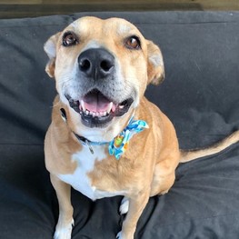 D 3c936e57 7eba 4c20 812c f8c1e9ee945f