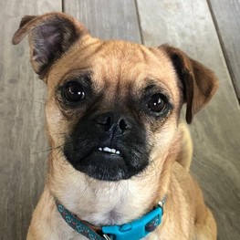 D 321c495f 3c39 40e6 8fdd 16af21a24a0b