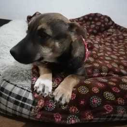 D 08d871d5 4844 406e bc92 41596495a5af