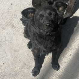 D 6a0fcd1b 73bf 4876 b40a 0799cea67781