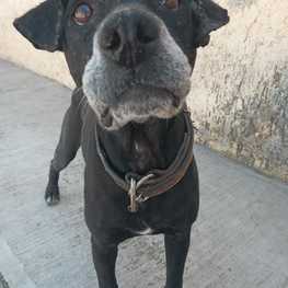 D 5078c8e0 cb6f 4340 8e38 738d97034b30