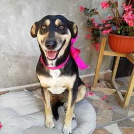 D 2c8e63e0 42a7 4634 964b 22fa1e6e84c6