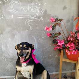 D 9a7b4620 443d 44f4 bd5b 6c494a7a9f7b