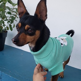 D 2d879d9e ef40 4fdb 9ded 2ac53d568a28