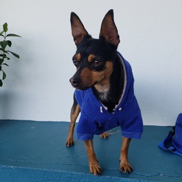 D 023736fe 48c9 4160 ba46 4da92ad7f9ba