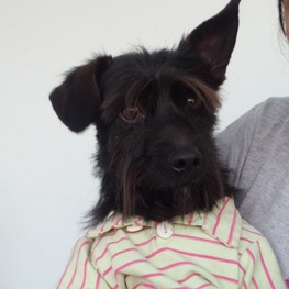 D c728b6e8 26f4 4986 8e26 0461092c84ae