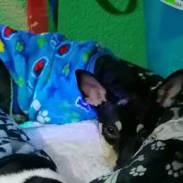 D 6432bf09 03cc 41e9 a332 002fef99a04f