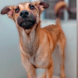 D 5eefeeea 60d0 4c82 a254 de4dc9d71b4e