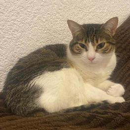 D e4f270b5 f6df 4c2a a5c1 d10c242f19be