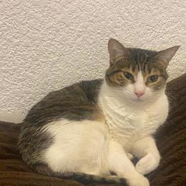 D f429de82 f0fb 4387 ba43 f1f744089ffb